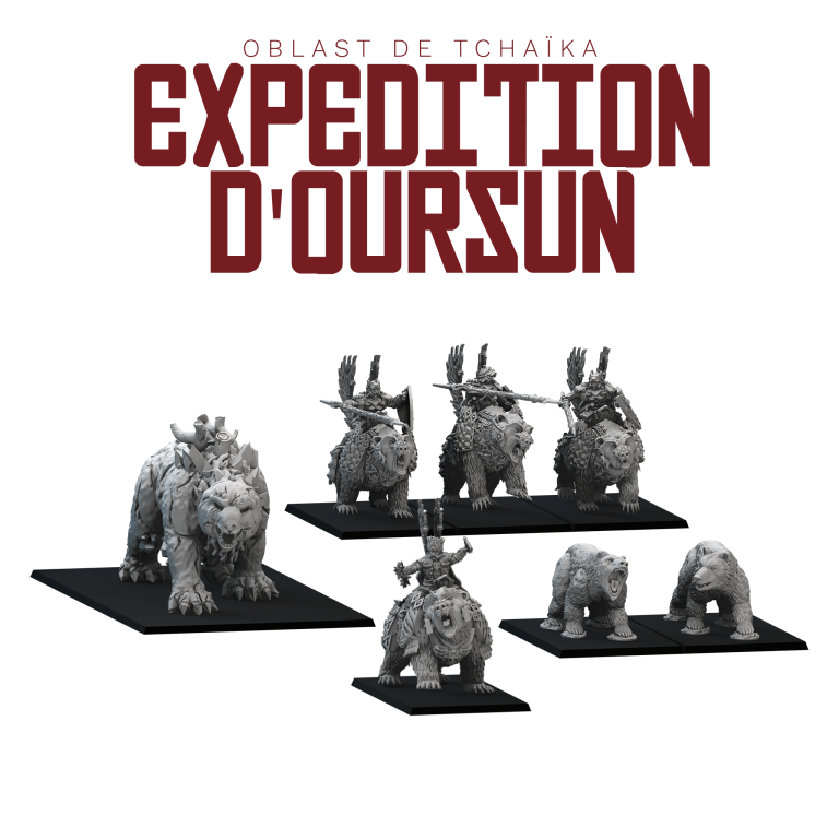 Coffret complémentaire "Expédition d'Oursun" - Armée de l'Oblast de Tchaïka