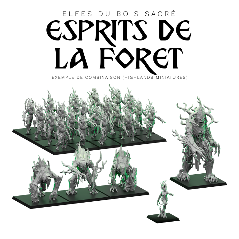 Coffret complémentaire "Esprits de la Forêt" - Armée des Elfes du Bois Sacré
