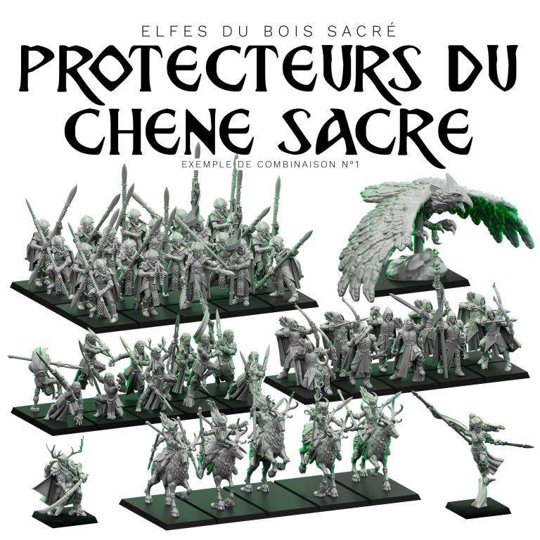 Coffret personnalisable "Protecteurs du Chêne Sacré" - Armée des Elfes du Bois Sacré