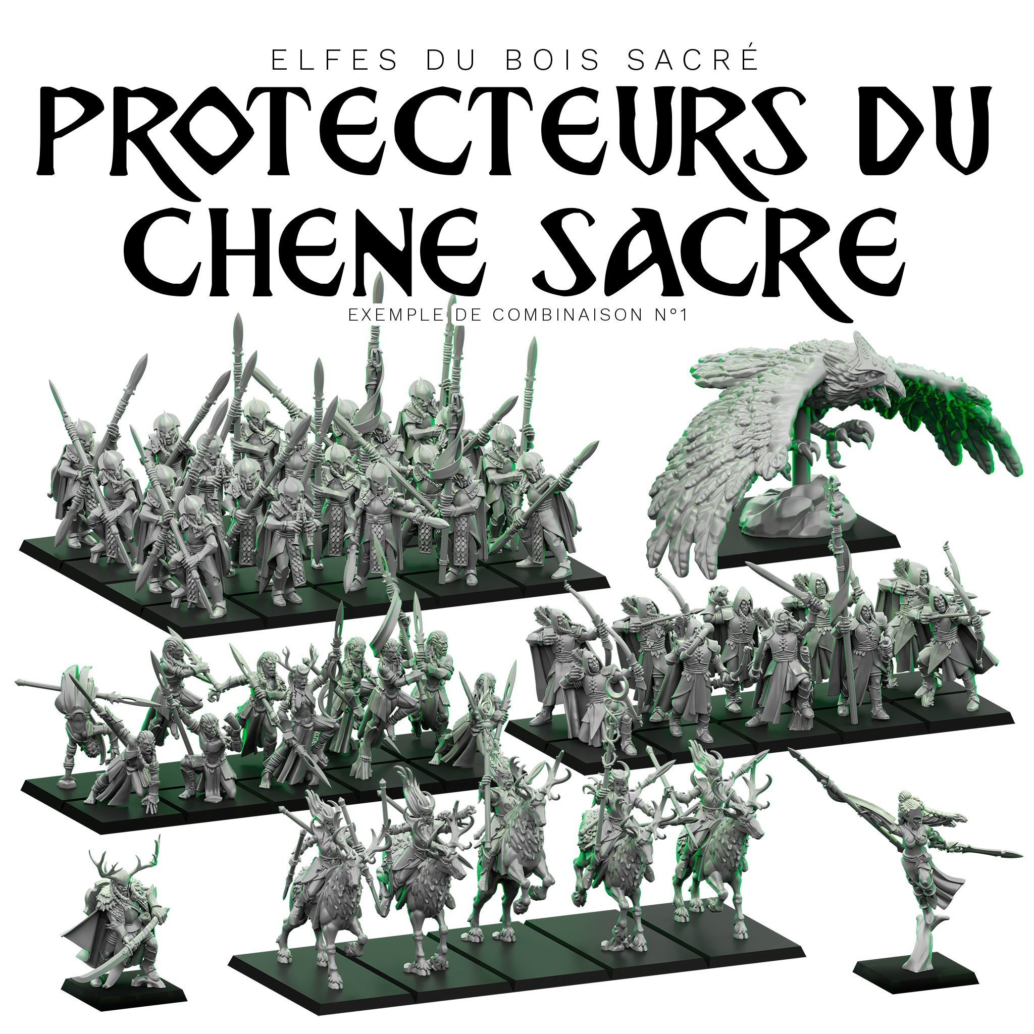 Coffret personnalisable "Protecteurs du Chêne Sacré" - Armée des Elfes du Bois Sacré
