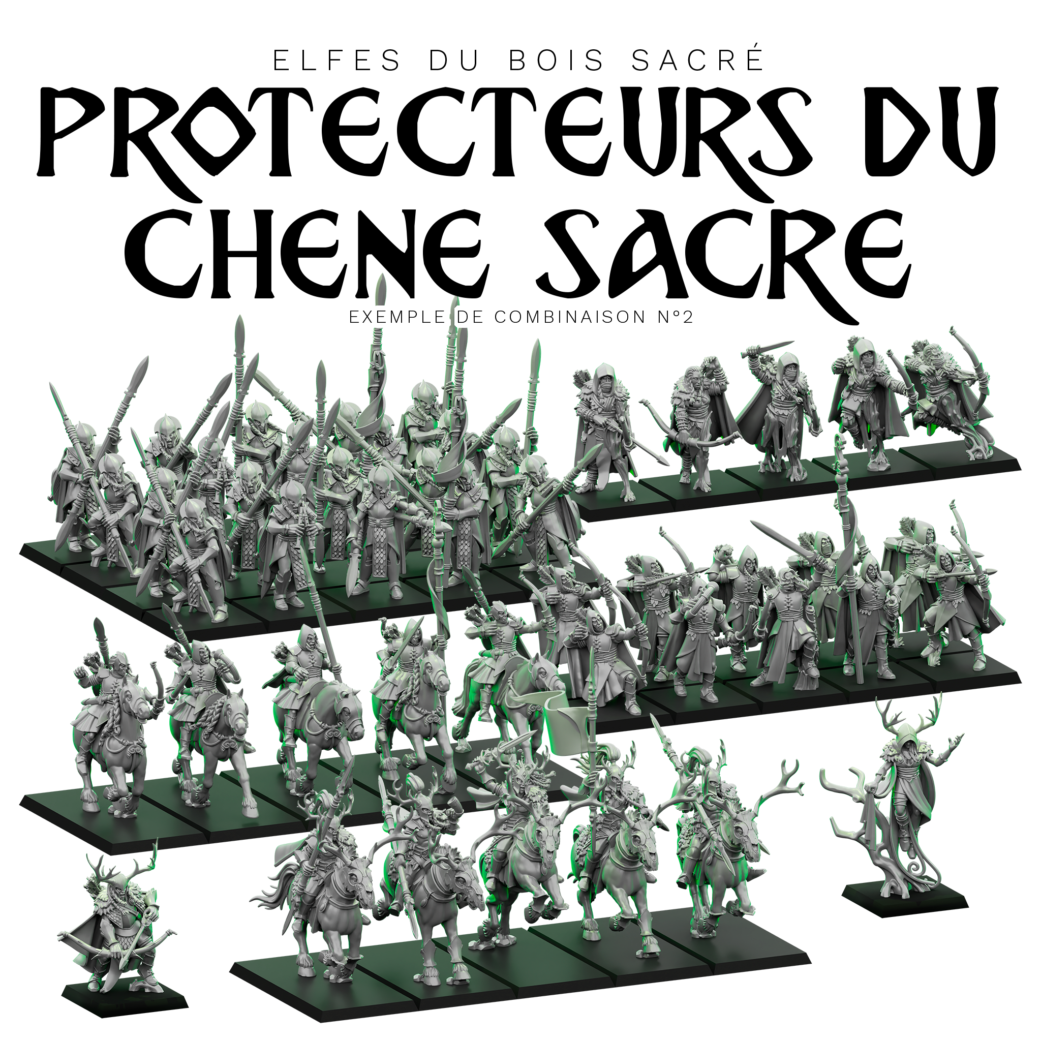 Coffret personnalisable "Protecteurs du Chêne Sacré" - Armée des Elfes du Bois Sacré – Image 2
